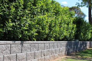 Retaining Wall4            